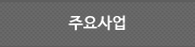 주요사업 및 기타정보
